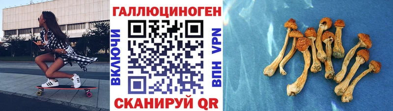 Псилоцибиновые грибы мицелий  Калачинск 